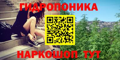 мяу мяу мука Пыть-Ях