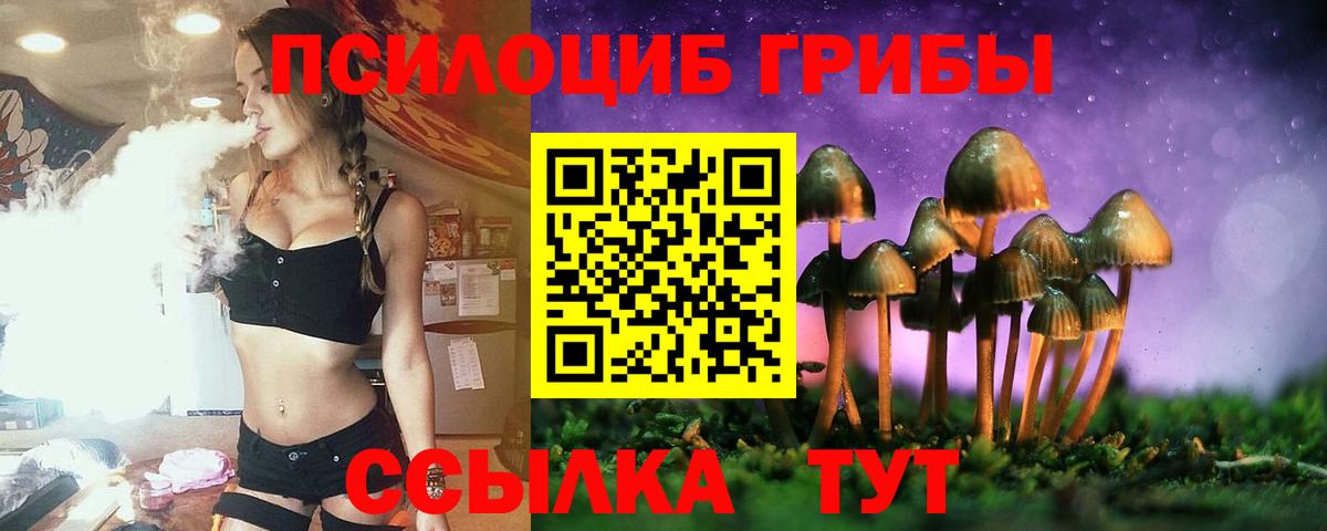 Галлюциногенные грибы Psilocybe  Вход с VPN  Новокубанск 