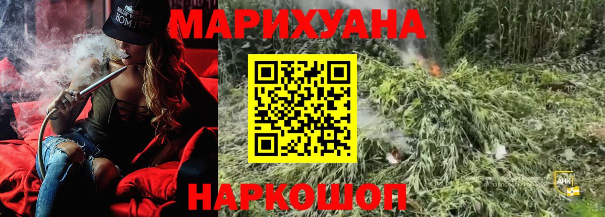 Новокубанск  Конопля план  Шишки марихуана MAZAR  Каннабис семена  Вход с VPN 